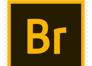 Adobe Bridge 2020 Full Version