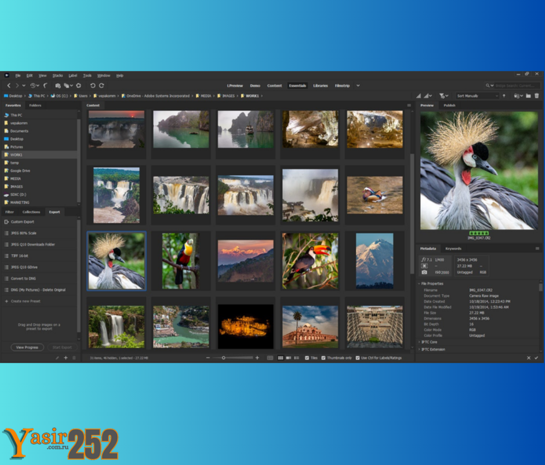 Adobe Bridge 2020 Torrent