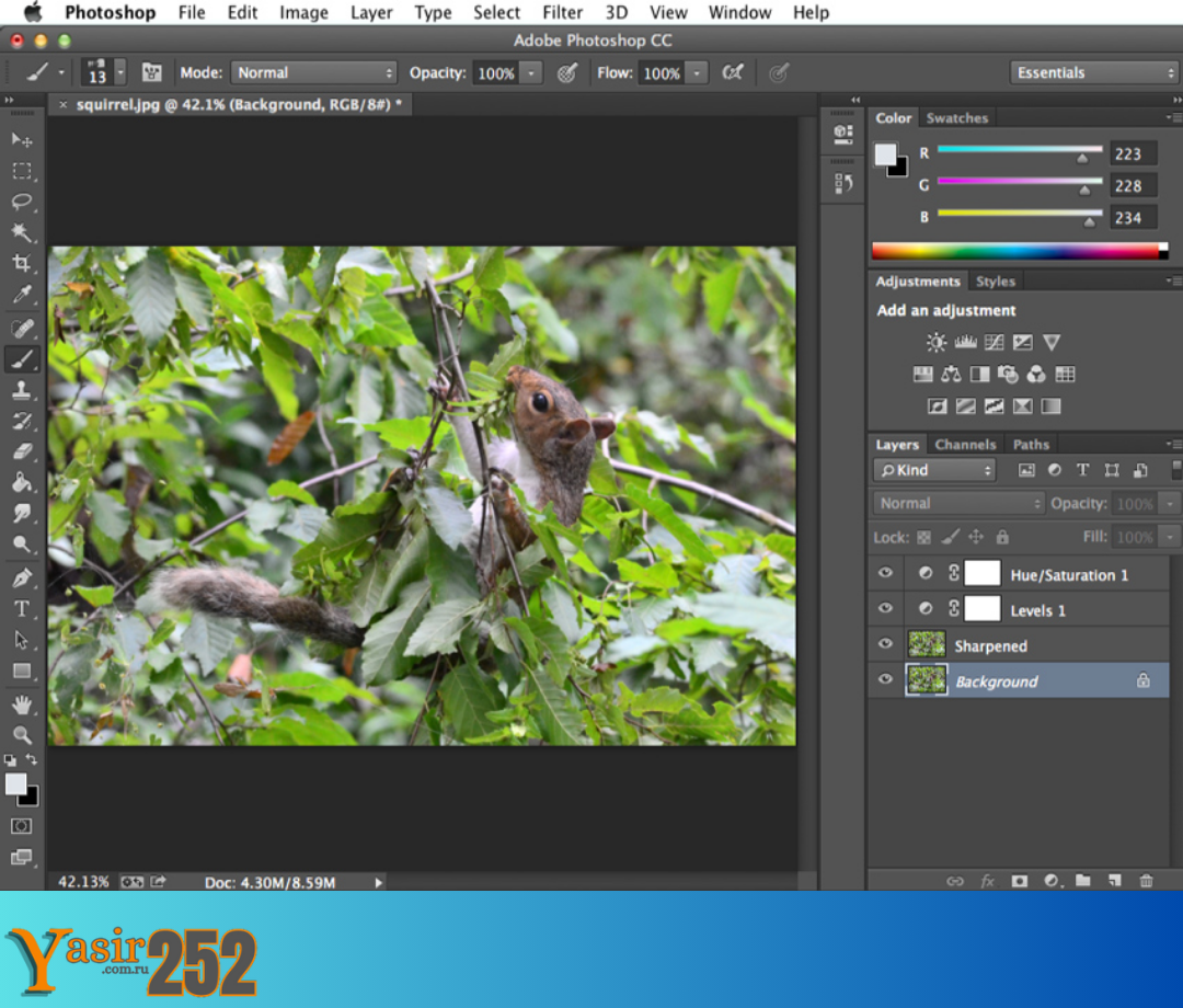 Adobe Photoshop 2021 Repack