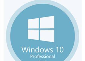 Windows 10 Professional x64 Rus Full Version